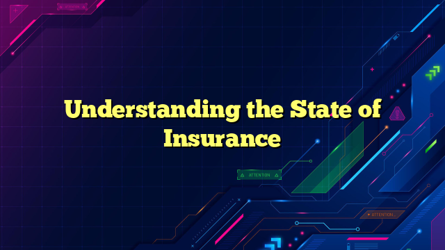 Understanding the State of Insurance