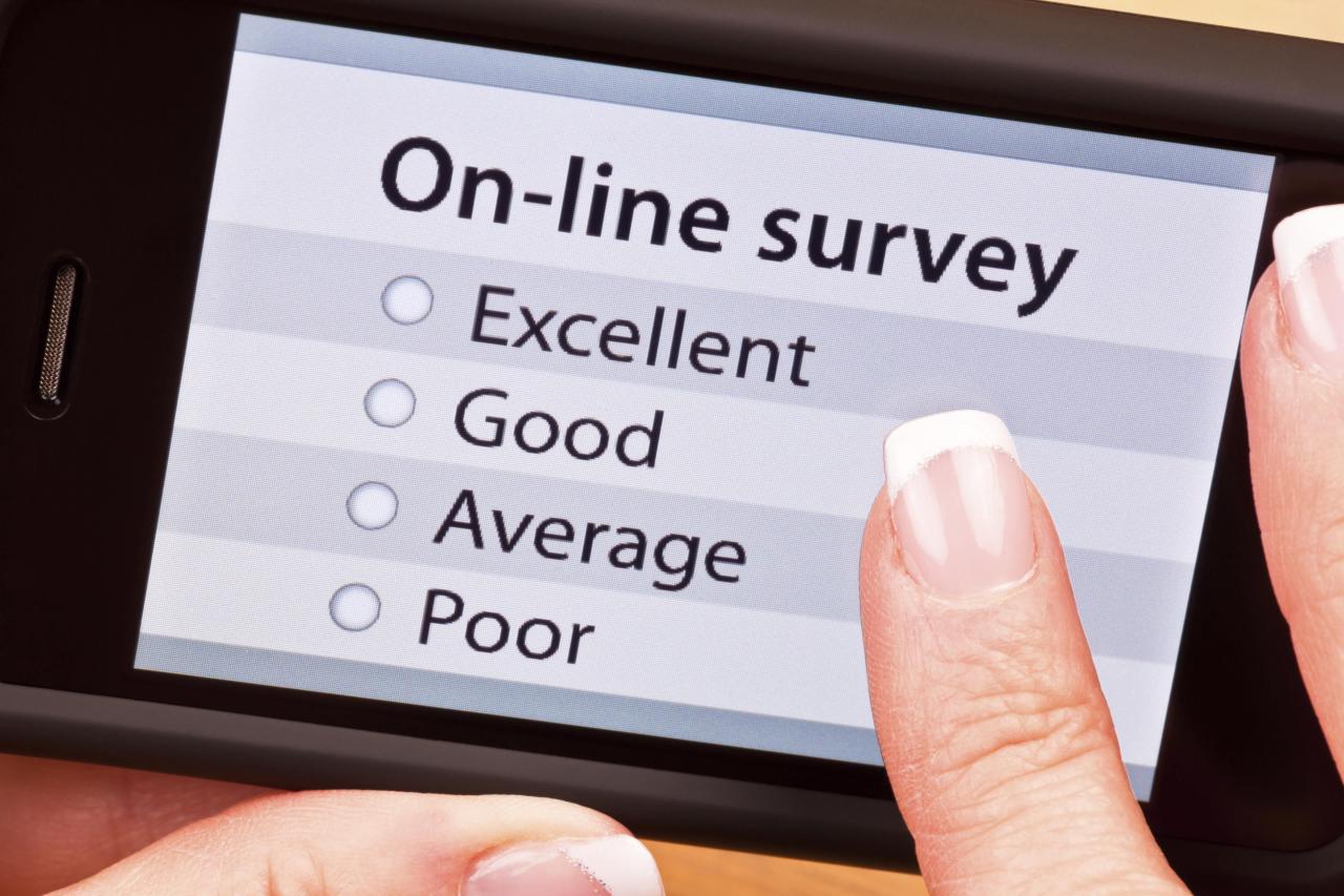 Paid online surveys